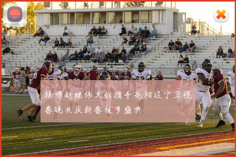 杨鸣赵继伟夫妇携手亮相辽宁卫视春晚共庆新春佳节盛典