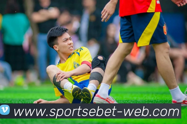 易倍体育发展历程